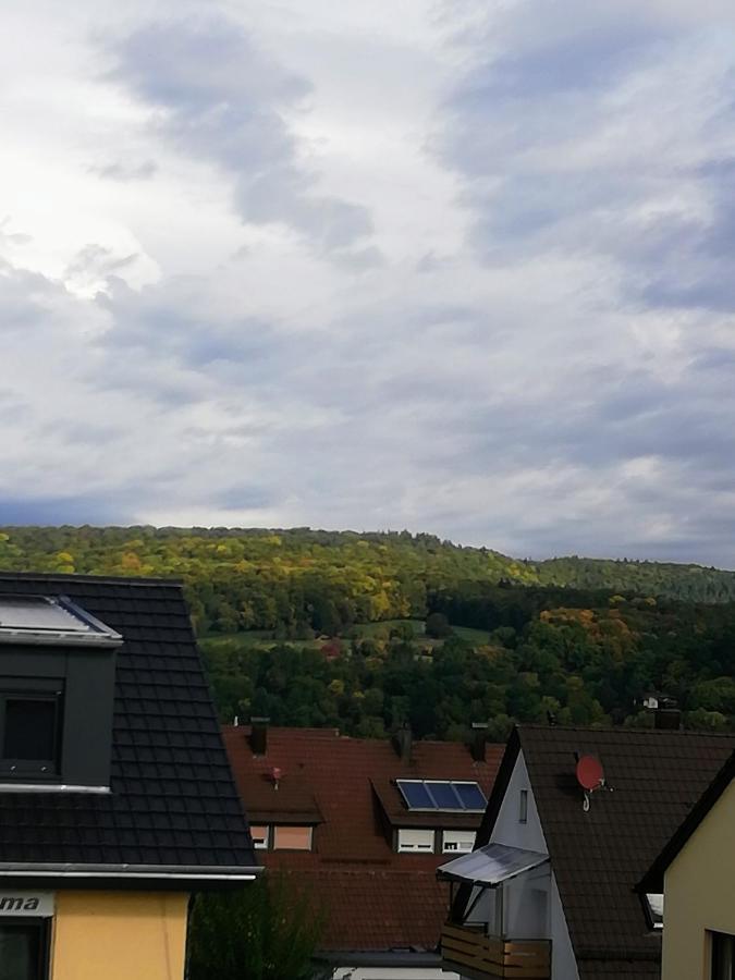 Ferienappartement Obrigheim Mosbach  Exterior foto