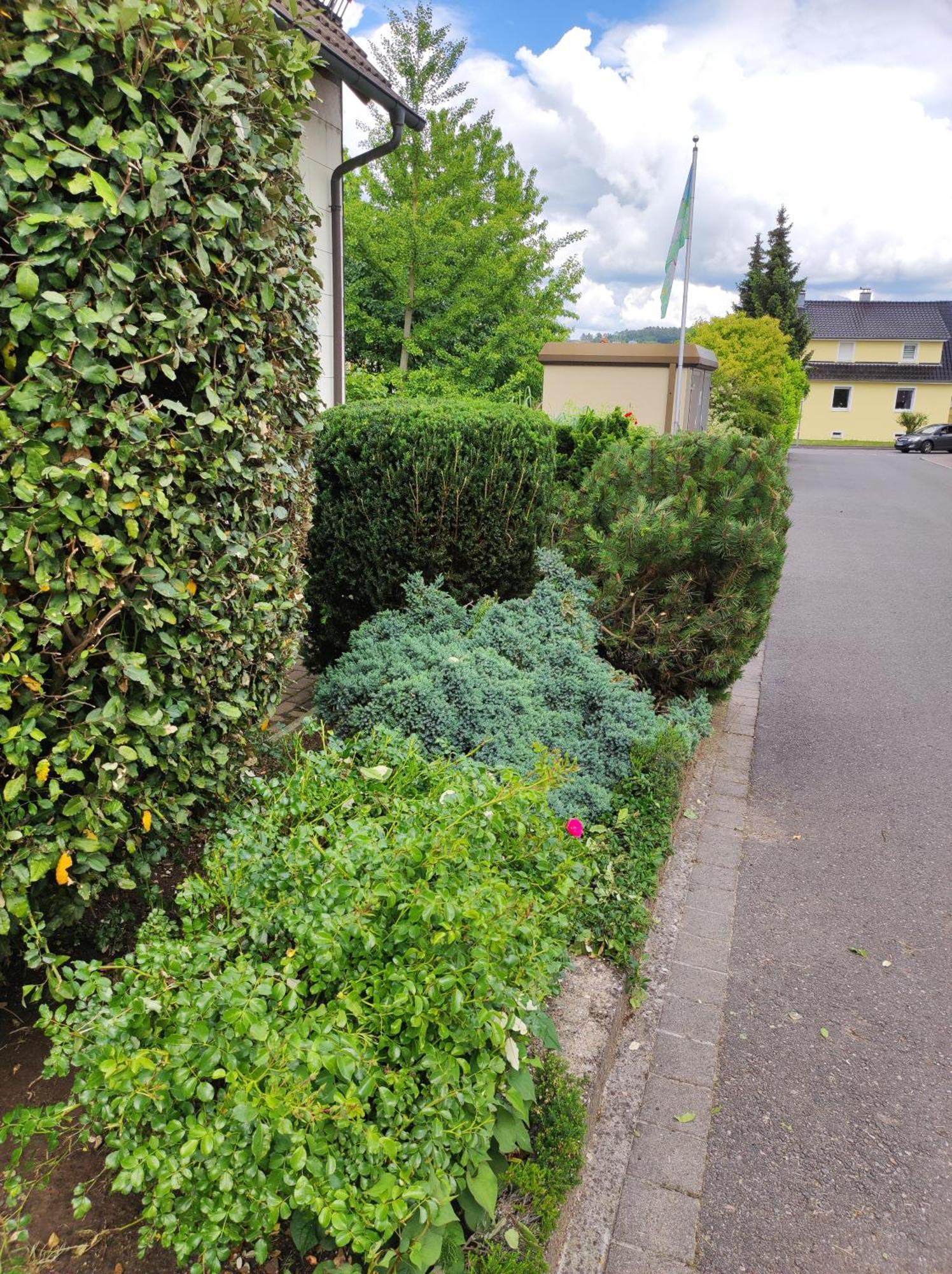 Ferienappartement Obrigheim Mosbach  Exterior foto